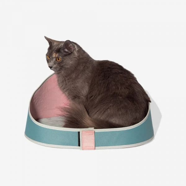 Zee.cat Cama para Gatos Kombucha