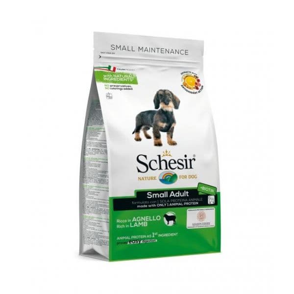 Schesir Small Borrego Manutenção 800gr