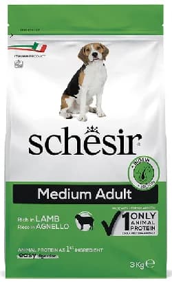Schesir Cão Médio Adulto Manutenção Cordeiro - Ração seca para cão