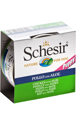 Ração Húmida Schesir Nature Puppy Chicken & Aloe Wet Dog 150g