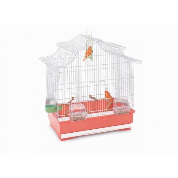 Orniex Gaiola Pagoda Multicolor