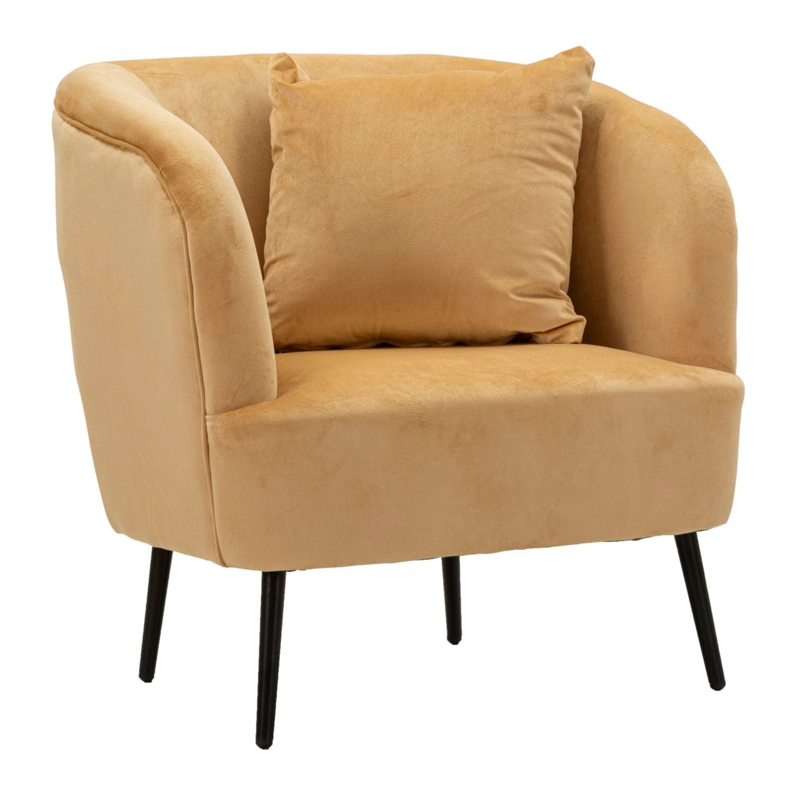 Poltrona Browy com Almofada Cm 73x66x78