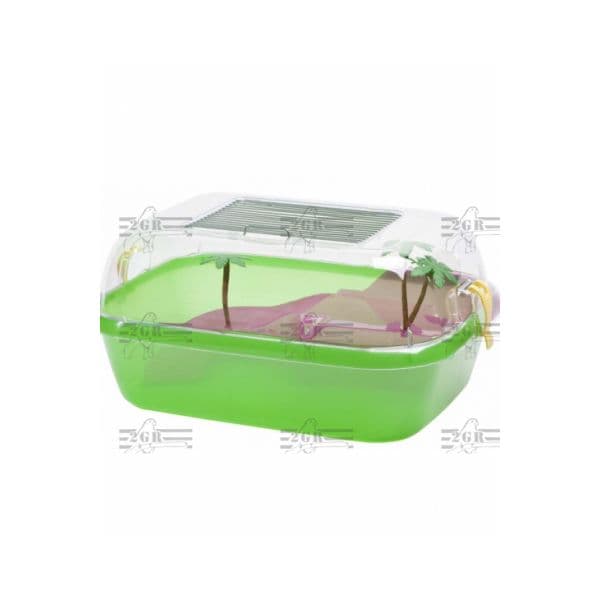 2GR Tartarugueira Daffy 44x34 H20
