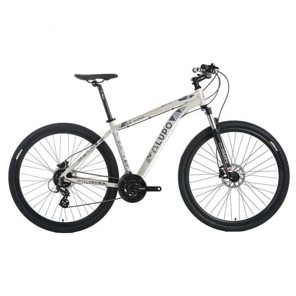 Lupo Raptor New Age 1 29´´ Mtb Bike Cinzento 54