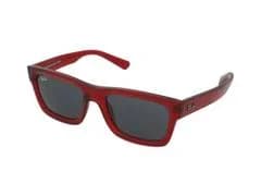 Ray-Ban Warren RB4396 667987 