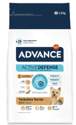 Advance Adult Yorkshire Terrier 1,5kg Ração para Cão - Campet