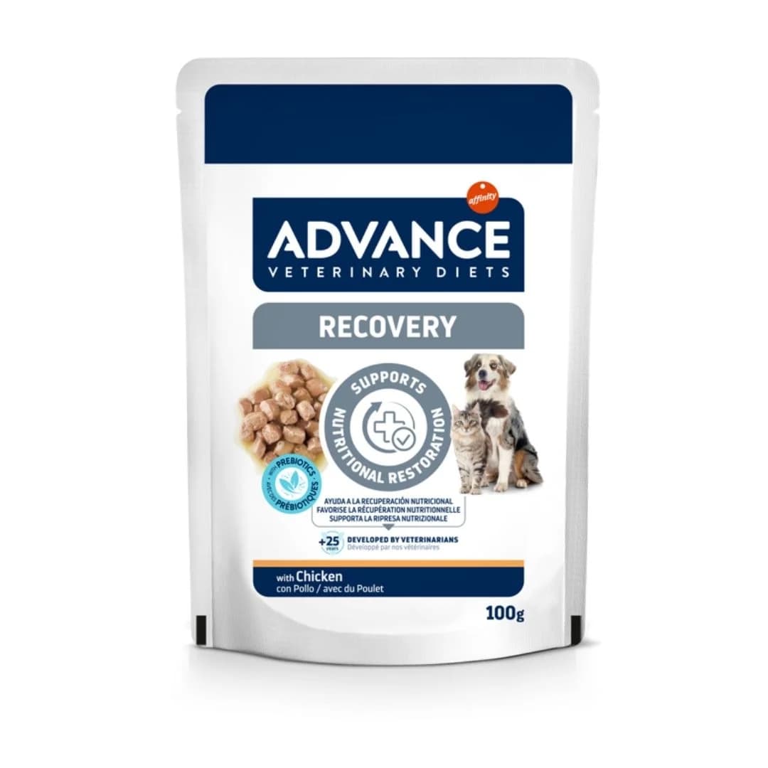 Advance Recovery/Recuperação 100g
