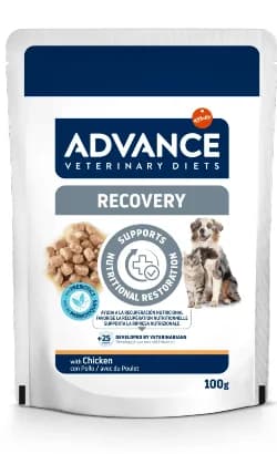 Ração Húmida Advance VET Recovery 11 x 100g