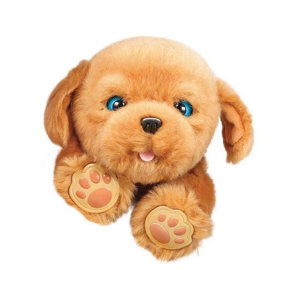Famosa Little Live Pets - Cão Sleepy Puppy