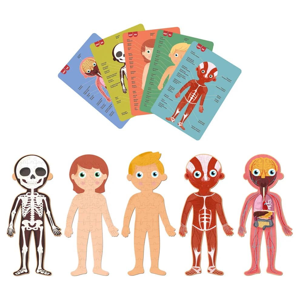 Jogo Educativo Puzzle Apli Corpo Humano 240 Peças