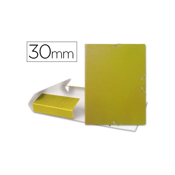 Liderpapel Pastas de Projectos em Cartão c/ Elásticos - 37346
