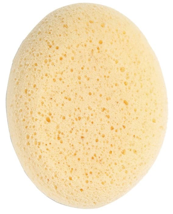 Saro - Esponja hidrófila