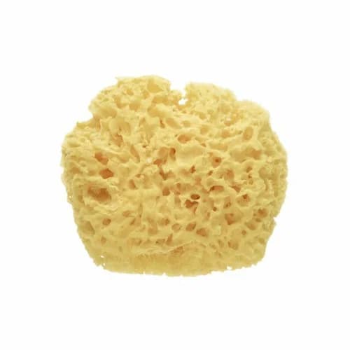 Saro Esponja Natural Premium