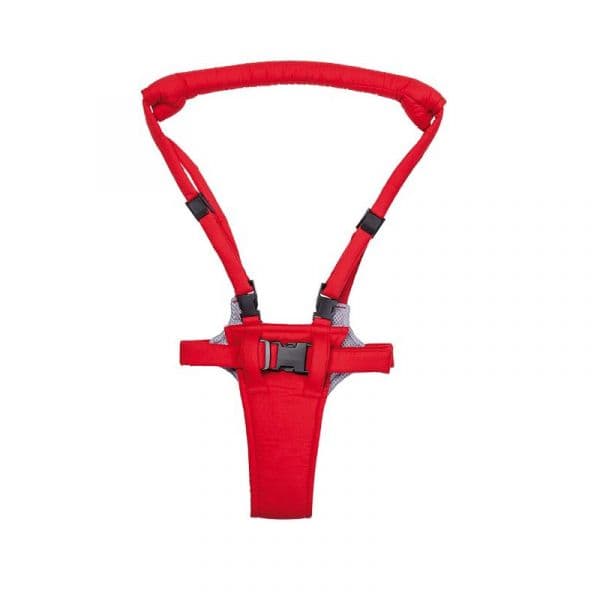 Saro Correia Educativa com Arco Superior 6m+ Cor: C