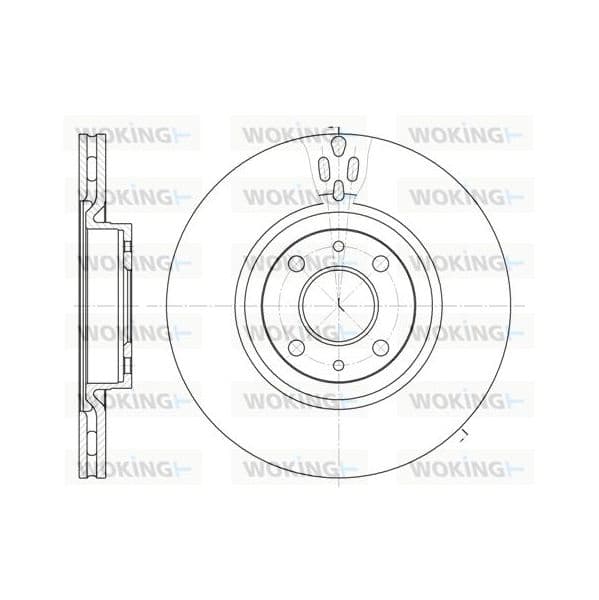 WOKING Disco de Travão - D6316.11