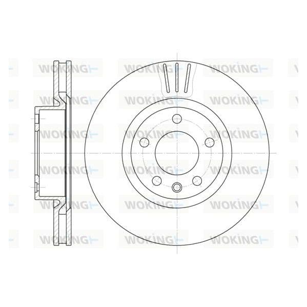 Woking Disco de Travão - D6339.10