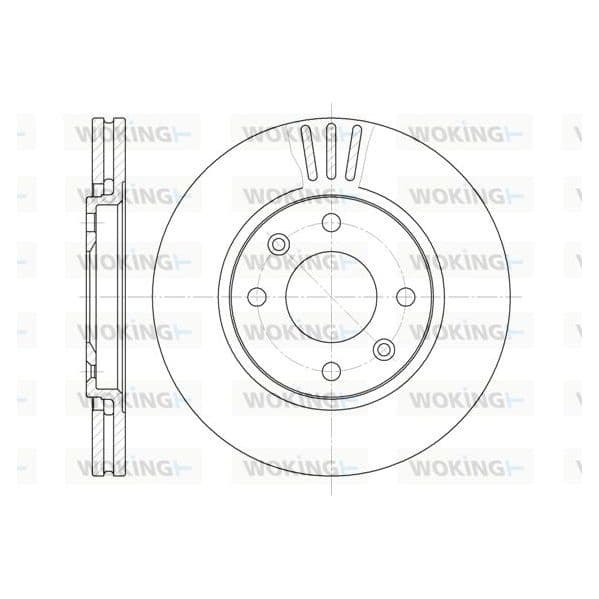 WOKING Disco de Travão - D6449.10