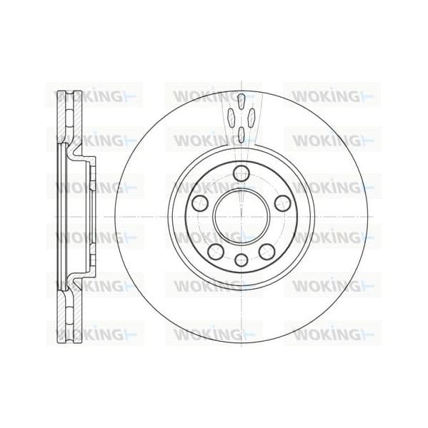 Woking Disco de Travão - D6658.10