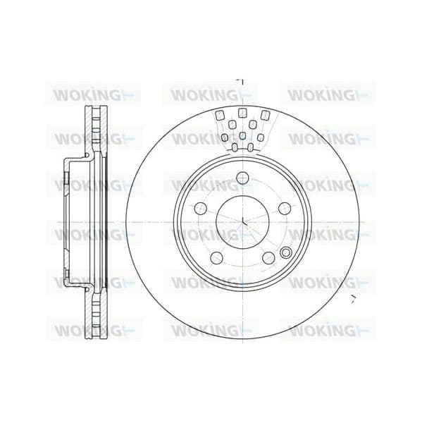 WOKING Disco de Travão - D6676.10