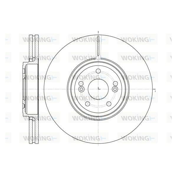 WOKING Disco de Travão - D6695.10
