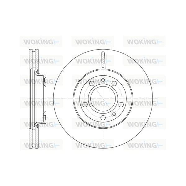 WOKING Disco de Travão - D6869.10