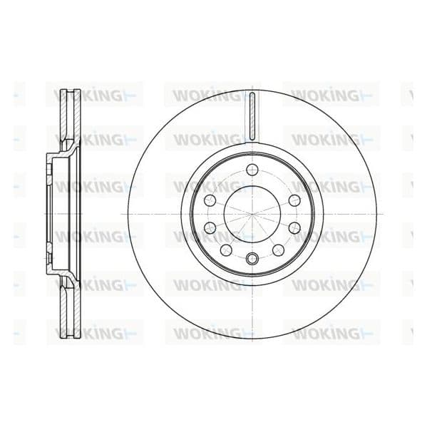 WOKING Disco de Travão - D6729.10