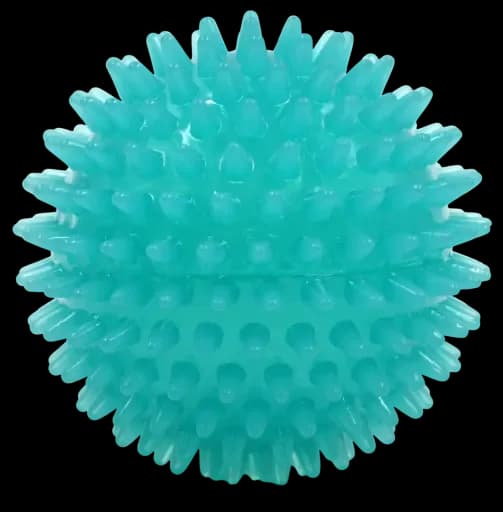 Bolas para Cães