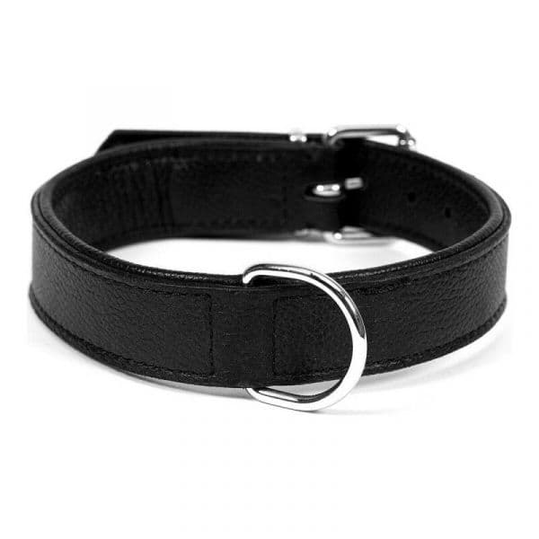 Gloria Pets Coleira Drymilled Preto (40 x 2 cm)