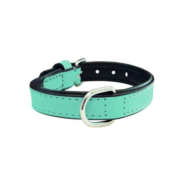 Gloria Pets Coleira Acolchoado Azul (40 x 2 cm)
