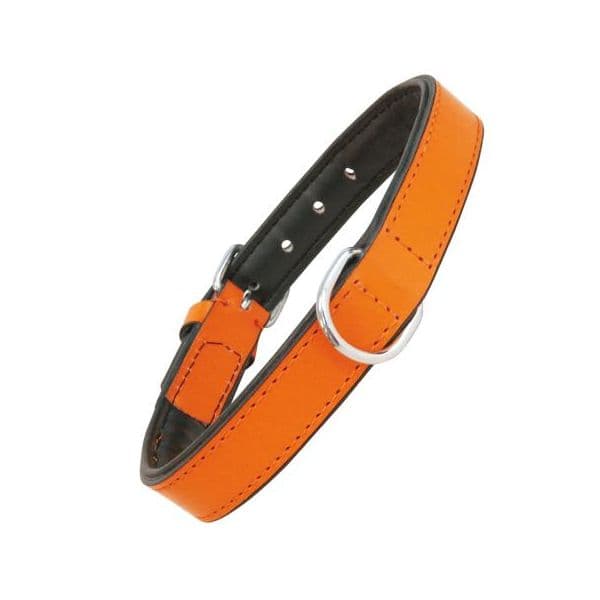 Gloria Pets Coleira Acolchoado Coral (35 x 1,5 cm)