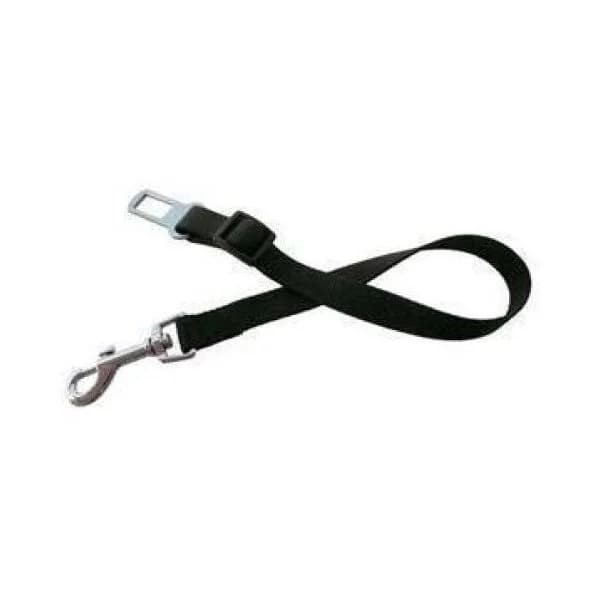 Gloria Pets Enganche de Cinturón Morado 20mmx45cm