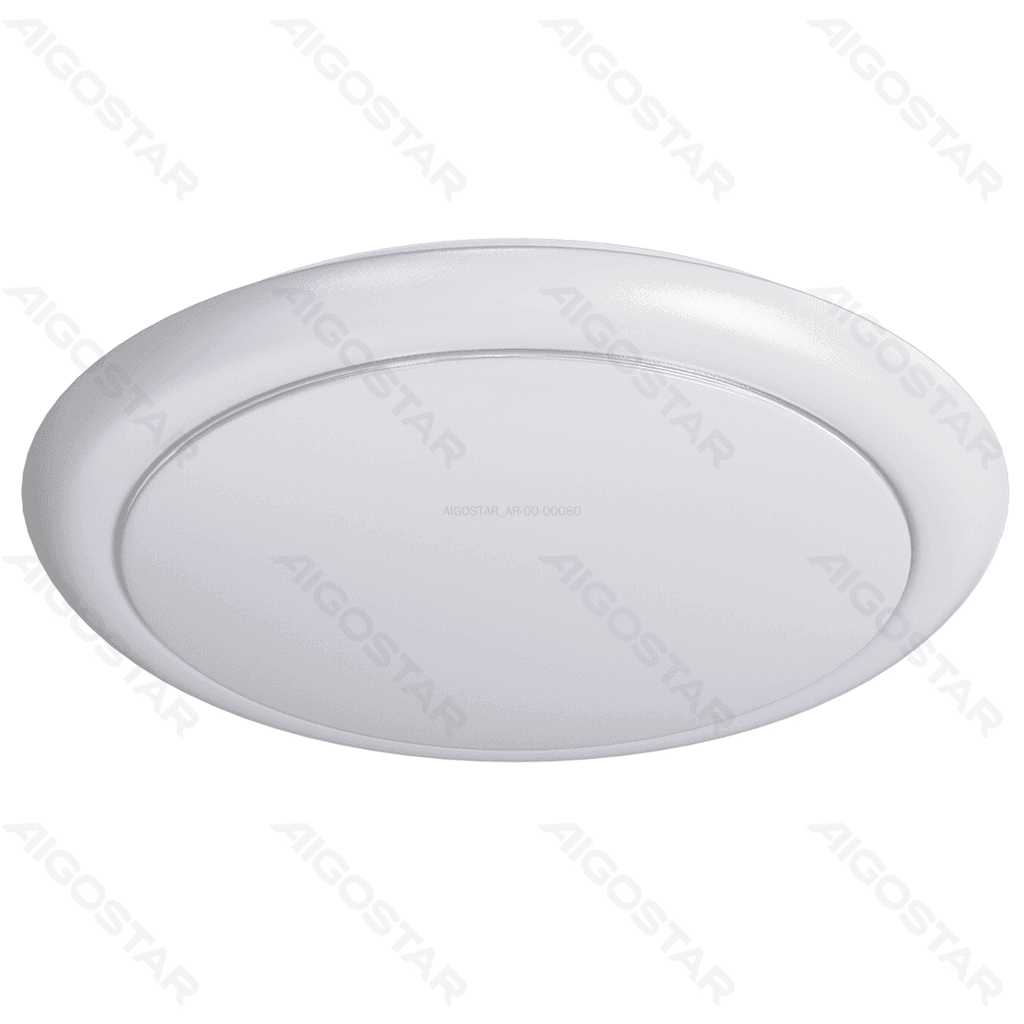 LUZ DE TETO LED 24W 6500K