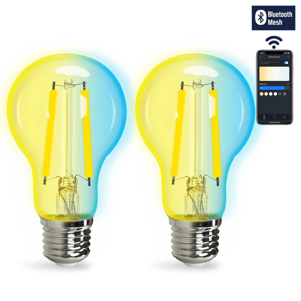 BLUETOOTH LÂMPADA DE FILAMENTO INTELIGENTE A60 COM CONTROLE REMOT