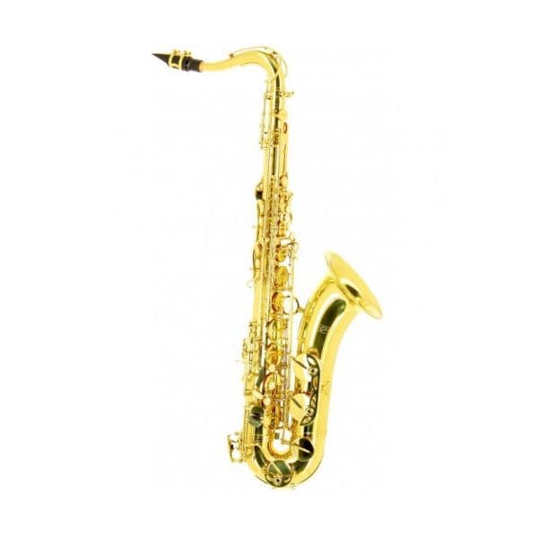 Oqan Saxofone OTS-700
