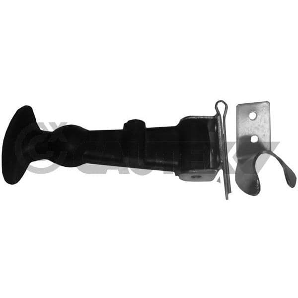 CAUTEX Amortecedor, Capota do Motor - 902005