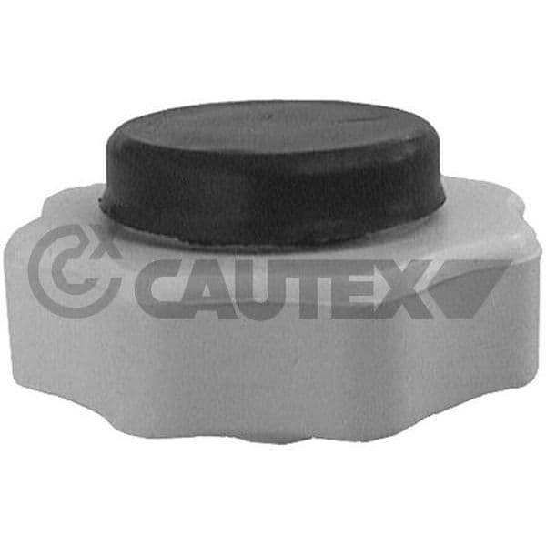 Cautex Tampa de Fecho, Recipiente de Líquido de - 954078