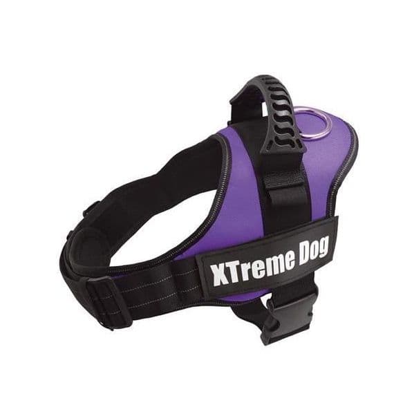 Arquivet Peitoral Xtreme Dog Roxo Xl
