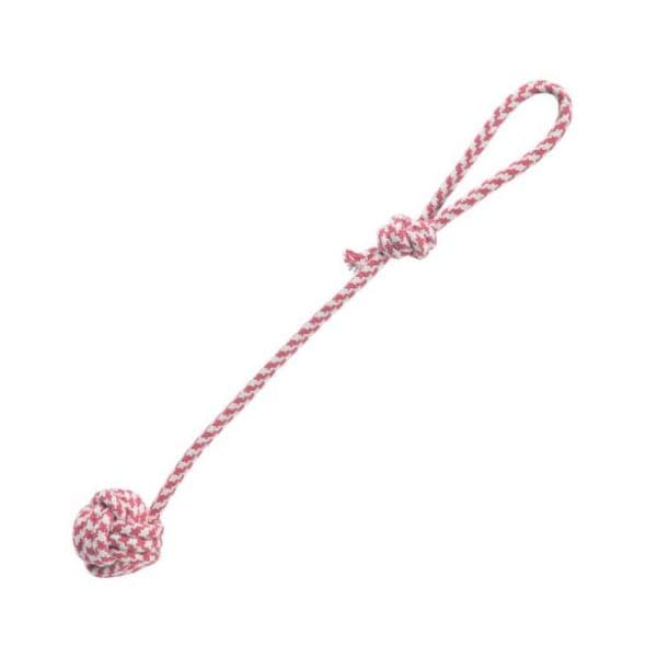 Arquivet Brinquedo Cão Bola Punho Azul Duplo Nó Rosa
