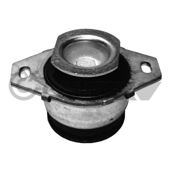 Cautex Suporte, Motor - 756121
