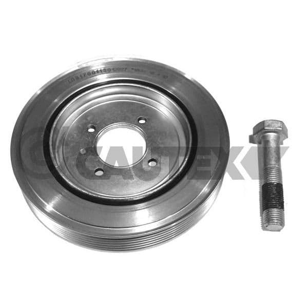 CAUTEX Kit da Polia da Correia da Cambota - 752323