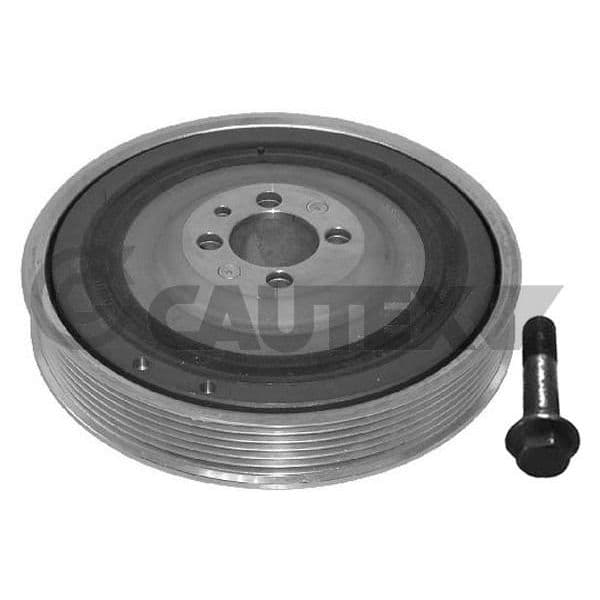 CAUTEX Kit da Polia da Correia da Cambota - 752328