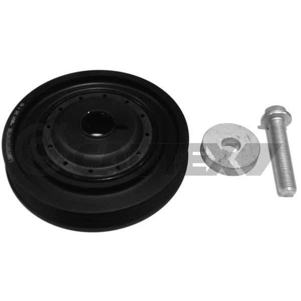 CAUTEX Kit da Polia da Correia da Cambota - 752341