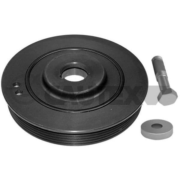 CAUTEX Kit da Polia da Correia da Cambota - 752350