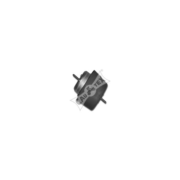 Cautex Apoio Motor 461135