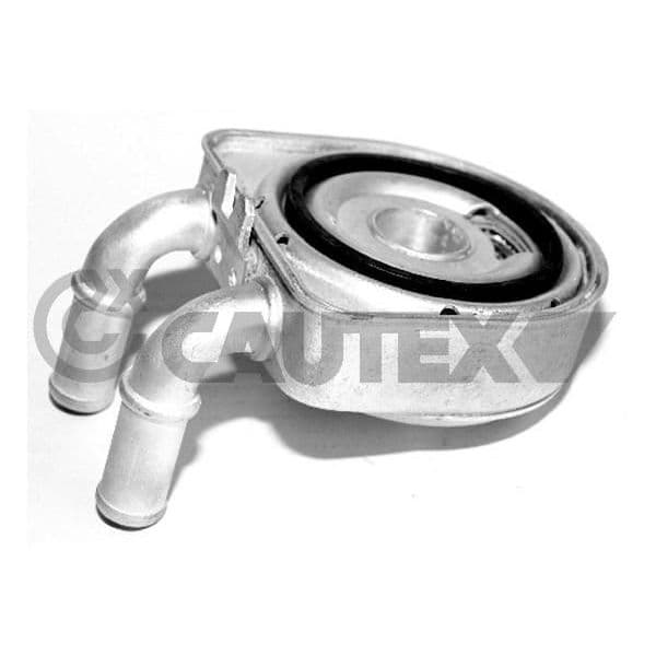 Cautex Radiador de Óleo, Óleo do Motor - 031435