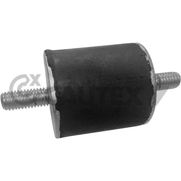Cautex Suporte, Radiador - 755683