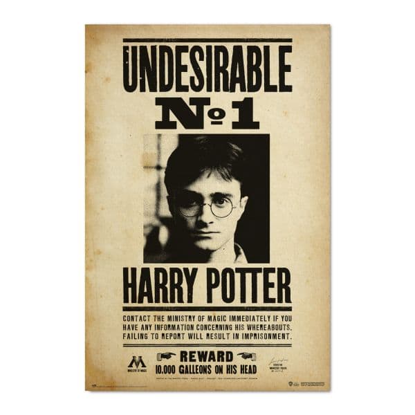 Poster Harry Potter Undesirable N1 91.5x61cm