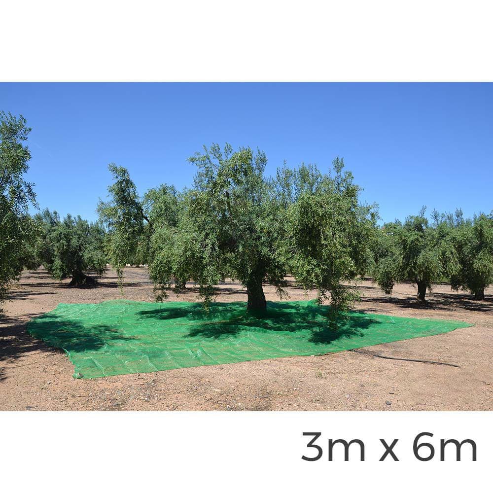 EDM Manta para Coleta de Frutas 3x6m Verde