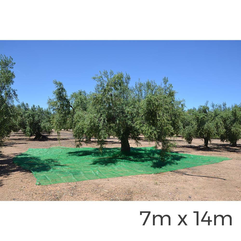 Edm Manto para Coleta de Frutas 7x14m Verde