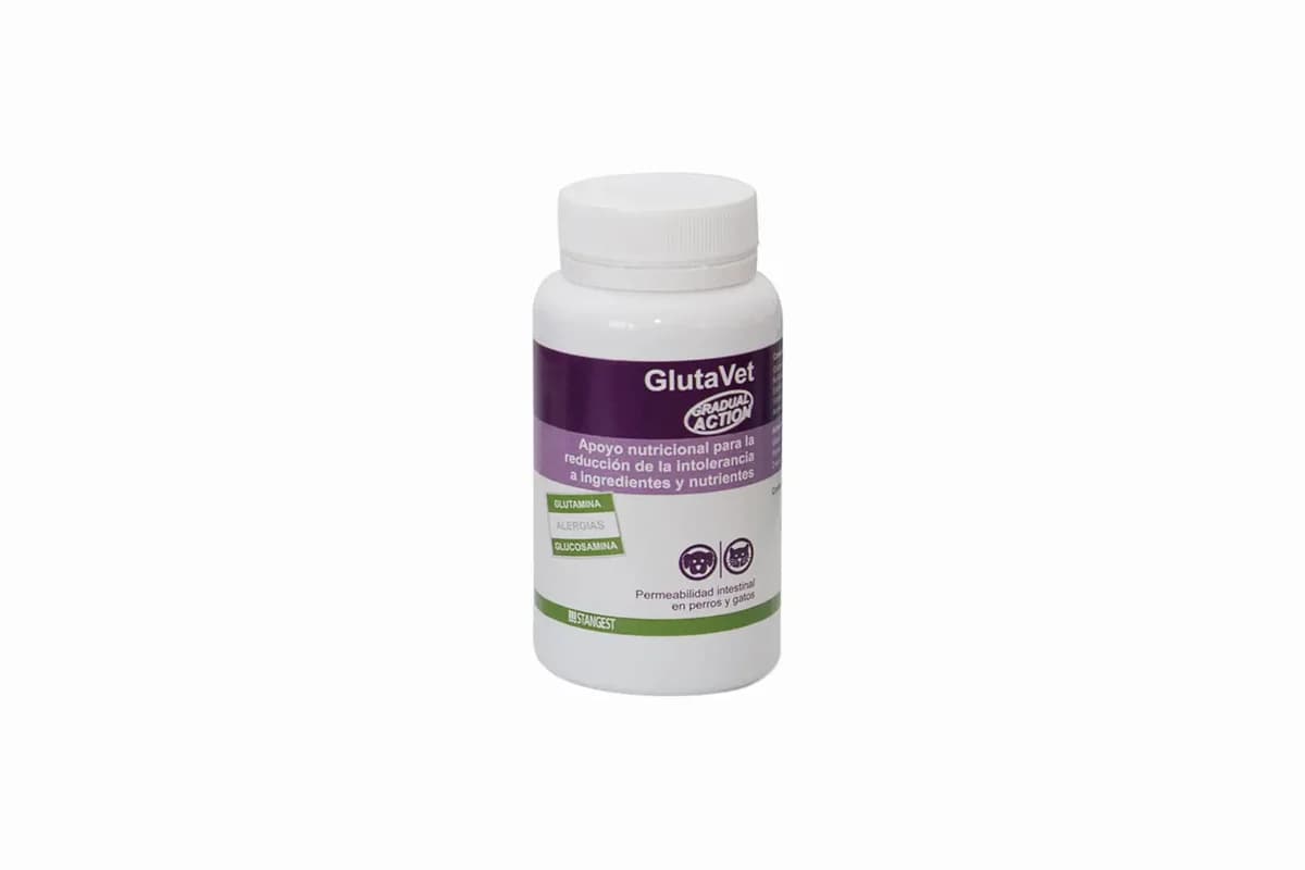 GLUTAVET - Suplemento para cão para suporte intestinal